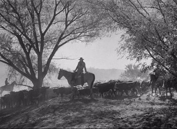 Movie still from “Red River” (1948), directed by Howard Hawks – A man herding a herd of cattle on horseback; Wide shot, Low angle