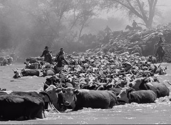 Movie still from “Red River” (1948), directed by Howard Hawks – A herd of cattle being herded through the water; Extreme Wide shot, High angle