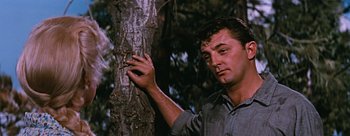 Movie still from “River of No Return” (1954), directed by Otto Preminger – A man holding on to the bark of a tree; Close Up shot, Low angle