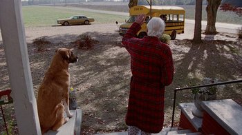 Movie still from “Road Trip” (2000), directed by Todd Phillips – An old woman and a dog on the steps of a school bus; Wide shot, Over the shoulder angle