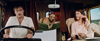 Movie still from “Road Games” (1981), directed by Richard Franklin – A brown dog laying on top of a green blanket; Medium shot, High angle