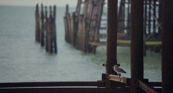 Movie still from “Rocks” (2019), directed by Sarah Gavron – A bird sitting on top of a wooden post near the ocean; Extreme Wide shot, High angle