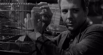 Movie still from “Rumble Fish” (1983), directed by Francis Ford Coppola – A man holding a bird in a cage; Close Up shot, Low angle