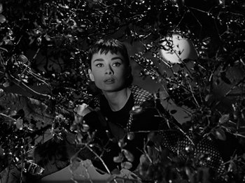 Movie still from “Sabrina” (1954), directed by Billy Wilder – A black - and - white photo of a woman in a tree; Close Up shot, Low angle