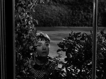 Movie still from “Sabrina” (1954), directed by Billy Wilder – A black - and - white photo of a woman peeking through the bushes; Close Up shot, Over the shoulder angle