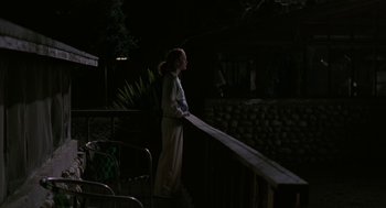Movie still from “Safe” (1995), directed by Todd Haynes – A woman walking on a porch in the dark; Wide shot, Low angle