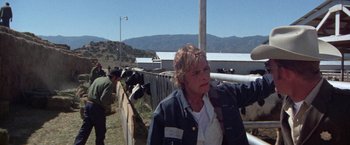 Movie still from “Scarecrow” (1973), directed by Jerry Schatzberg – A woman standing in front of a fence with a herd of cows; Medium shot, Over the shoulder angle