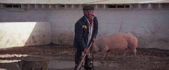 Movie still from “Scarecrow” (1973), directed by Jerry Schatzberg – A man holding a wooden stick in front of a pig; Wide shot, High angle