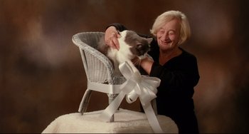 Movie still from “Secrets & Lies” (1996), directed by Mike Leigh – A woman petting a cat sitting in a chair; Medium shot, High angle