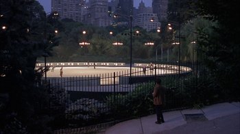 Movie still from “Serendipity” (2001), directed by Peter Chelsom – A person standing on a fence in a park; Extreme Wide shot, High angle