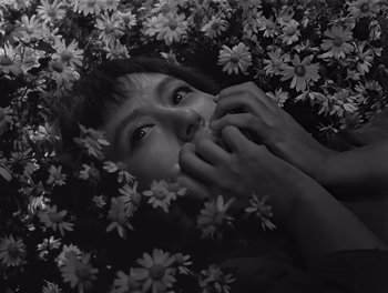 Movie still from “Seven Samurai” (1954), directed by Akira Kurosawa – A woman with her hands over her face surrounded by flowers; Close Up shot, Overhead angle