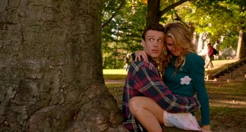 Movie still from “Sex Tape” (2014), directed by Jake Kasdan – A man and a woman sitting next to a tree in a park; Medium shot, High angle