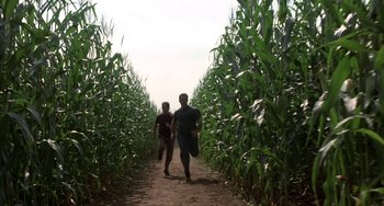 Movie still from “Signs” (2002), directed by M. Night Shyamalan – Two men are walking through a corn field; Extreme Wide shot, Low angle