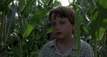 Movie still from “Signs” (2002), directed by M. Night Shyamalan – A young boy standing in a field of green leaves; Close Up shot, Low angle
