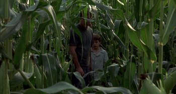 Movie still from “Signs” (2002), directed by M. Night Shyamalan – A man and a boy standing in a corn field; Wide shot, High angle