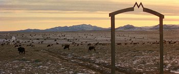 Movie still from “Silverado” (1985), directed by Lawrence Kasdan – A herd of cattle grazing on a dry grass covered field; Extreme Wide shot, High angle