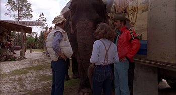 Movie still from “Smokey and the Bandit II” (1980), directed by Hal Needham – A group of people standing next to an elephant; Wide shot, Low angle