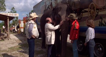 Movie still from “Smokey and the Bandit II” (1980), directed by Hal Needham – A man is petting an elephant while two other people watch; Wide shot, Over the shoulder angle