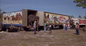 Movie still from “Smokey and the Bandit II” (1980), directed by Hal Needham – An elephant standing next to a truck in a field; Wide shot, Low angle
