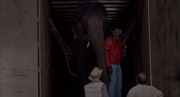 Movie still from “Smokey and the Bandit II” (1980), directed by Hal Needham – An elephant is standing in the middle of a tunnel; Wide shot, Low angle