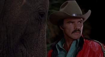 Movie still from “Smokey and the Bandit II” (1980), directed by Hal Needham – A man in a cowboy hat next to an elephant; Close Up shot, Low angle
