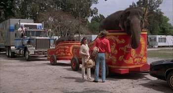 Movie still from “Smokey and the Bandit II” (1980), directed by Hal Needham – A man and a woman standing in front of an elephant; Wide shot, Low angle