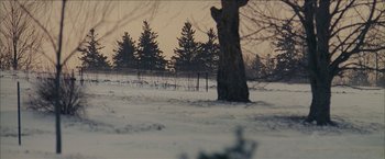 Movie still from “Snow Angels” (2007), directed by David Gordon Green – A tree in the middle of a snow covered field; Extreme Wide shot, Low angle