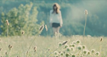 Movie still from “Something in the Air” (2012), directed by Olivier Assayas – A woman standing in a field of flowers; Wide shot, Low angle