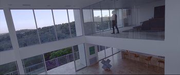 Movie still from “Song to Song” (2017), directed by Terrence Malick – A person standing in a room with a view of trees; Extreme Wide shot, High angle