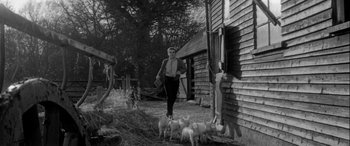 Movie still from “Sons and Lovers” (1960), directed by Jack Cardiff – A man walking in front of a group of small white dogs; Wide shot, Low angle