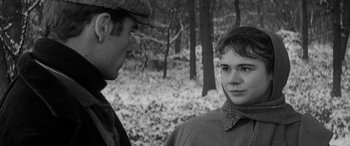 Movie still from “Sons and Lovers” (1960), directed by Jack Cardiff – A man and a woman standing next to each other in the woods; Close Up shot, Over the shoulder angle