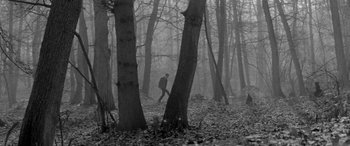 Movie still from “Sons and Lovers” (1960), directed by Jack Cardiff – A man walking through a forest on a foggy day; Wide shot, Low angle