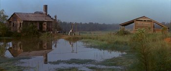 Movie still from “Sounder” (1972), directed by Martin Ritt – A flooded field with a windmill in the background; Extreme Wide shot, High angle