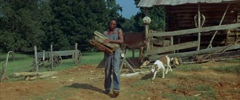Movie still from “Sounder” (1972), directed by Martin Ritt – A man carrying wood in a field with a dog nearby; Wide shot, Low angle
