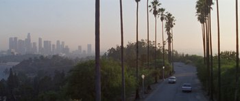 Movie still from “Species” (1995), directed by Roger Donaldson – A view of a city from a hill with palm trees; Extreme Wide shot, High angle