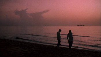 Movie still from “Spring Break” (1983), directed by Sean S. Cunningham – Two people standing on the beach at sunset; Extreme Wide shot, Over the shoulder angle