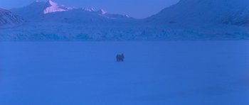 Movie still from “Star Trek VI: The Undiscovered Country” (1991), directed by Nicholas Meyer – A group of polar bears standing on top of a snow covered field; Extreme Wide shot, High angle