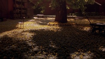 Movie still from “Sunshine” (1999), directed by István Szabó – A tree with leaves on the ground near a bench; Extreme Wide shot, High angle