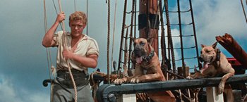 Movie still from “Swiss Family Robinson” (1960), directed by Ken Annakin – A man and a dog sitting on a boat; Medium shot, Low angle