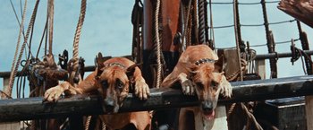 Movie still from “Swiss Family Robinson” (1960), directed by Ken Annakin – A couple of brown dogs laying on top of a boat; Medium shot, Low angle