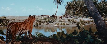 Movie still from “Swiss Family Robinson” (1960), directed by Ken Annakin – An image of an animal that is in the sand near the water; Wide shot, Low angle