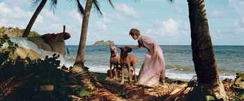 Movie still from “Swiss Family Robinson” (1960), directed by Ken Annakin – A woman and two dogs on the beach; Wide shot, Low angle