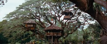 Movie still from “Swiss Family Robinson” (1960), directed by Ken Annakin – A tree that has a hut on it; Extreme Wide shot, Low angle