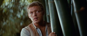 Movie still from “Swiss Family Robinson” (1960), directed by Ken Annakin – A man holding onto a bamboo stick in a forest; Close Up shot, Over the shoulder angle