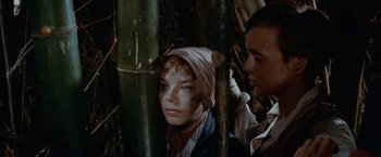 Movie still from “Swiss Family Robinson” (1960), directed by Ken Annakin – A woman with a bandage on her head is standing next to a man; Close Up shot, Low angle