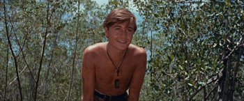 Movie still from “Swiss Family Robinson” (1960), directed by Ken Annakin – A young man is smiling for the camera in a wooded area; Medium shot, High angle