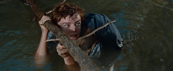 Movie still from “Swiss Family Robinson” (1960), directed by Ken Annakin – A man in a body of water holding a tree branch; Close Up shot, High angle