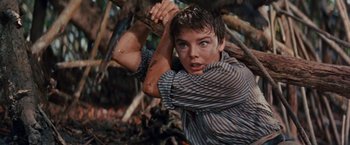 Movie still from “Swiss Family Robinson” (1960), directed by Ken Annakin – A young boy swinging a stick in the woods; Close Up shot, Low angle