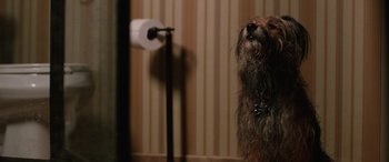 Movie still from “Table 19” (2017), directed by Jeffrey Blitz – A dog standing in front of a roll of toilet paper; Close Up shot, Over the shoulder angle