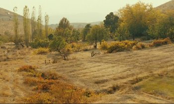 Movie still from “Taste of Cherry” (1997), directed by Abbas Kiarostami – An empty field with trees in the background; Extreme Wide shot, High angle